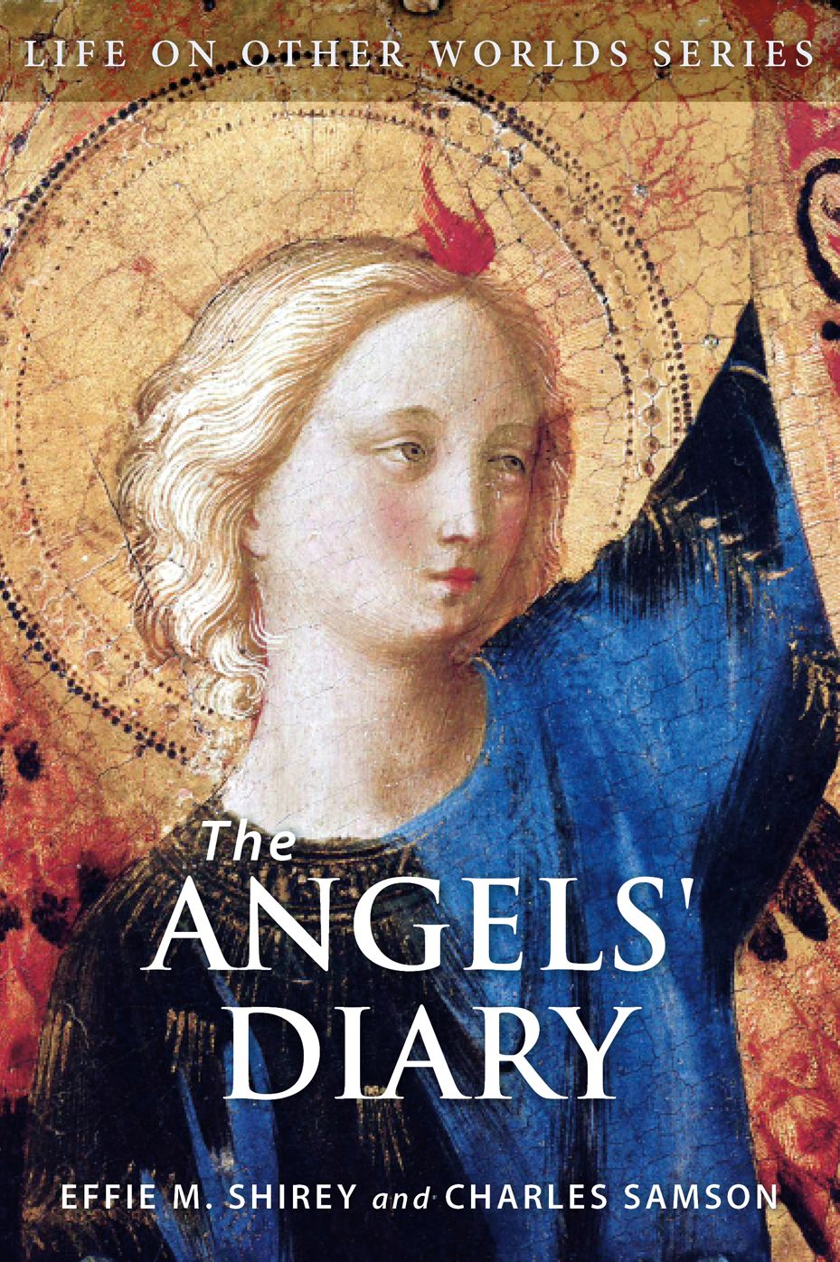 The Angels' Diary