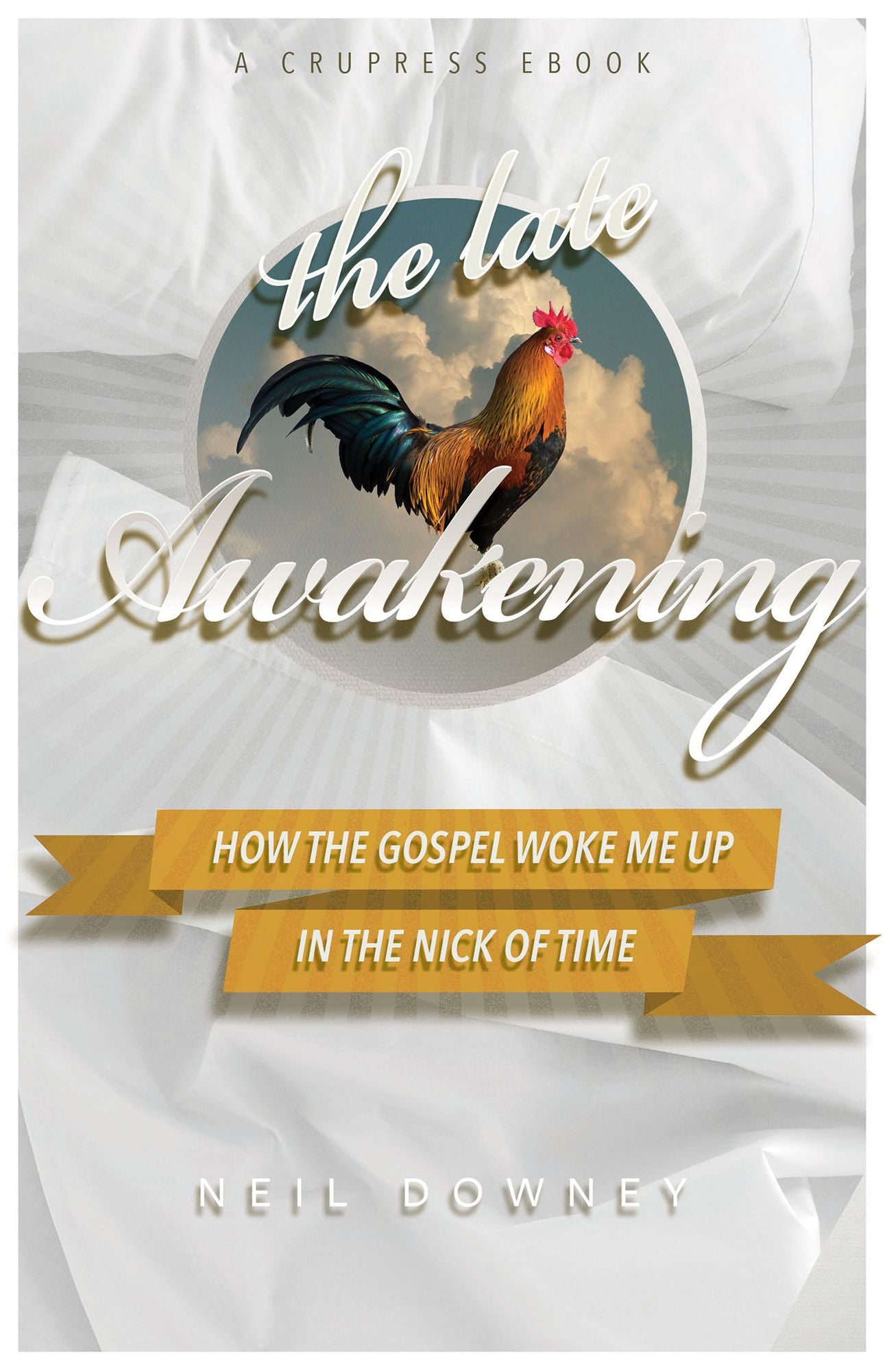 The Late Awakening: How the Gospel Woke Me Up in the Nick of Time