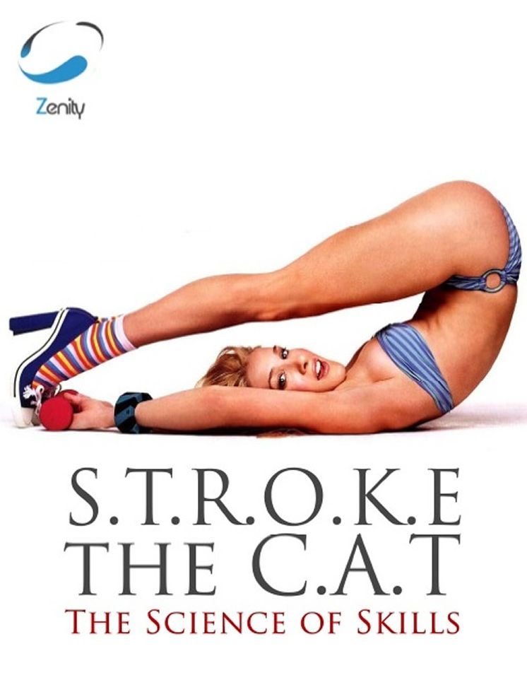 S.T.R.O.K.E the C.A.T