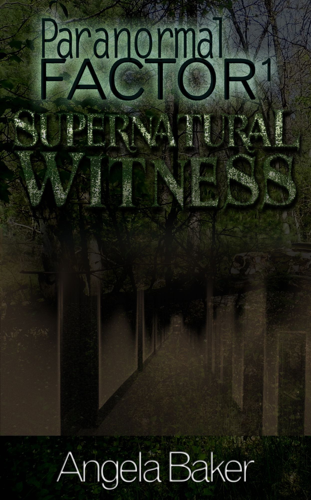 Paranormal Factor I. Supernatural Witness