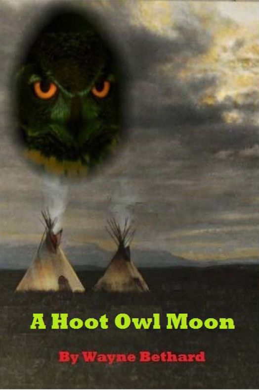 A Hoot Owl Moon