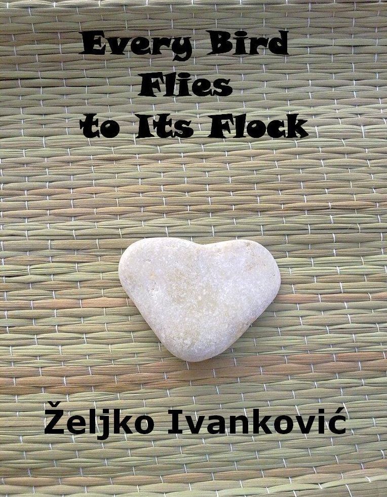 Every Bird Flies to Its Flock