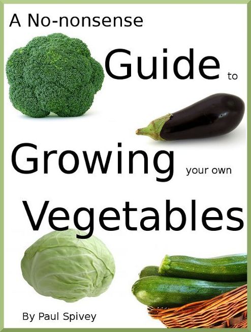 A No-nonsense Guide to Growing your own Vegetables