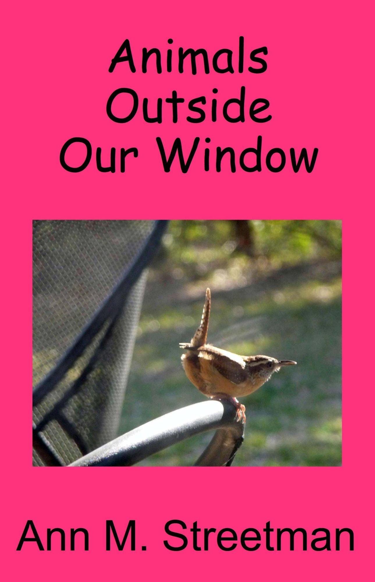 Animals Outside Our Window