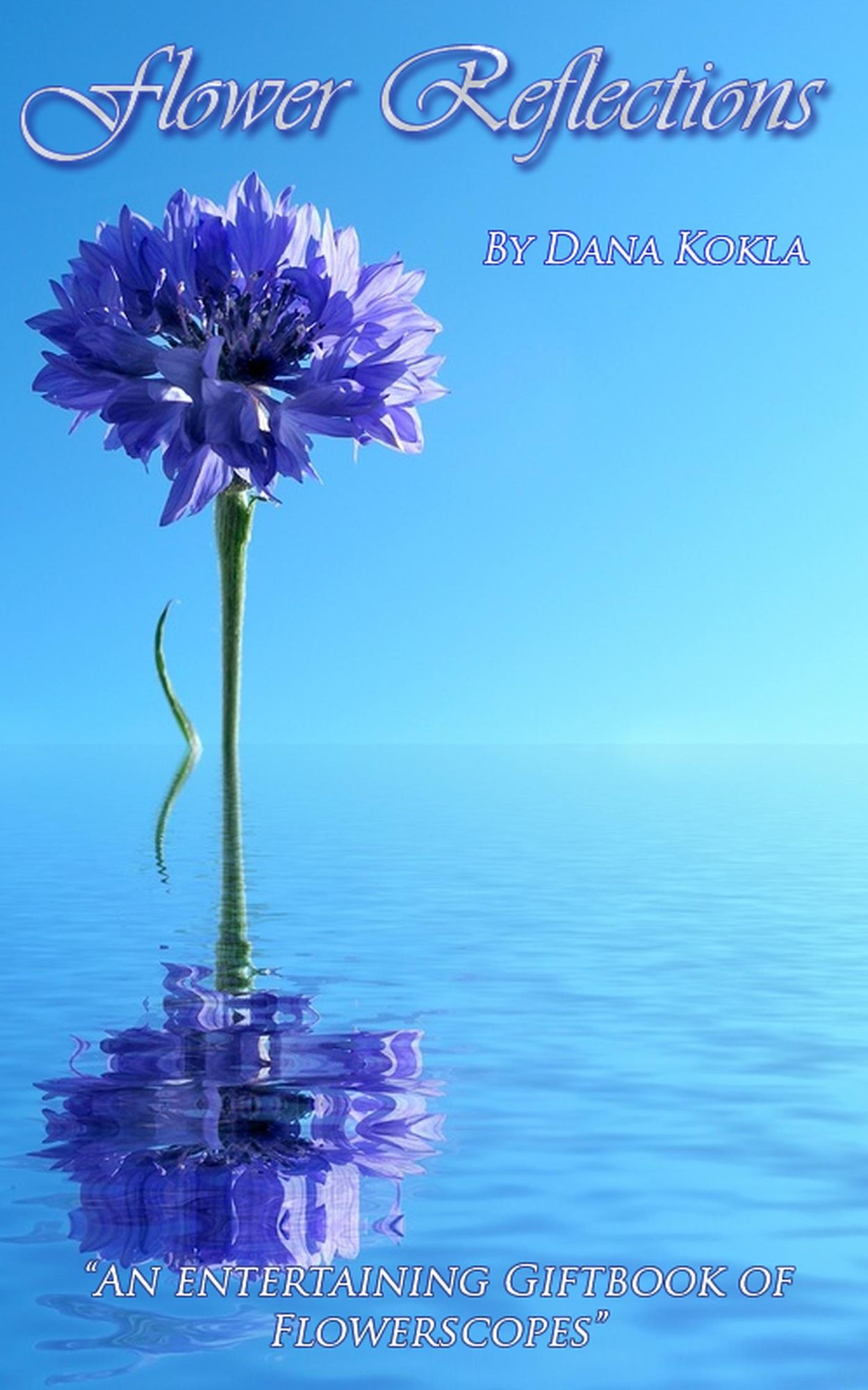 Flower Reflections