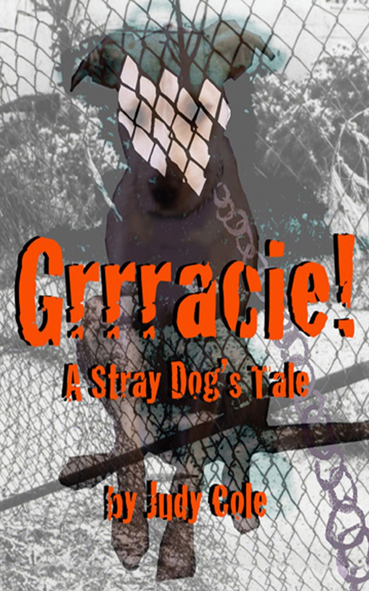 Grrracie! A Stray Dog's Tale
