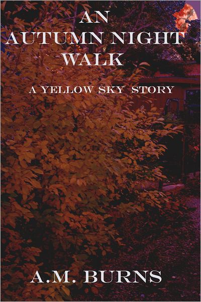 An Autumn Night Walk