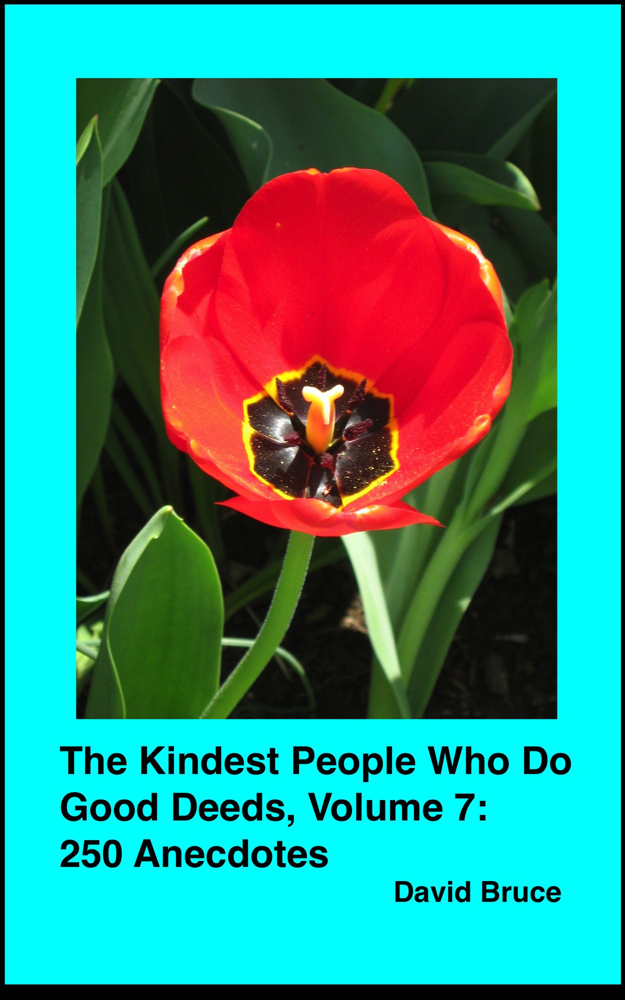 The Kindest People Who Do Good Deeds, Volume 7: 250 Anecdotes