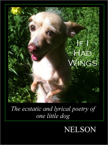 If I Had Wings