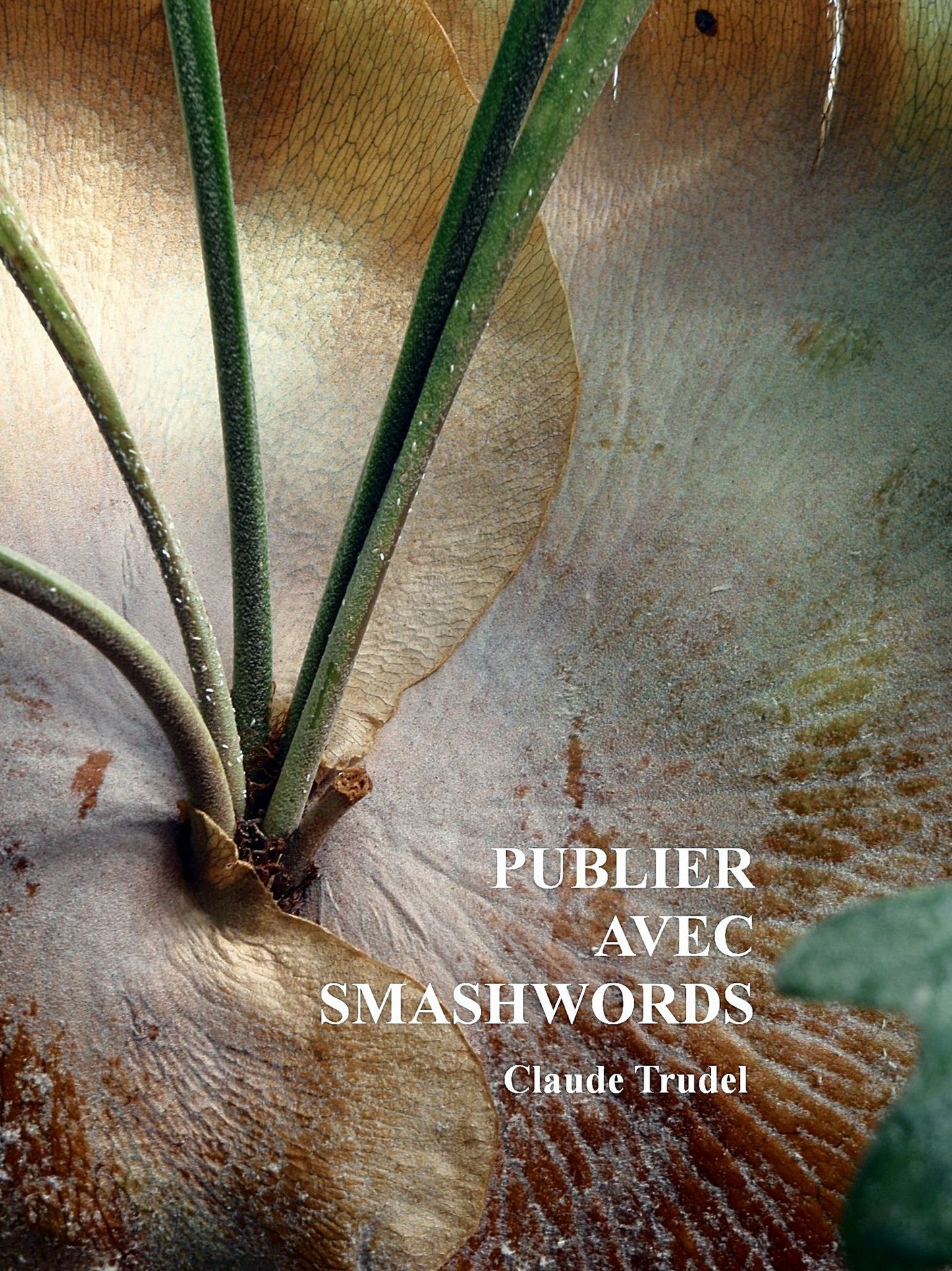 Publier avec Smashwords