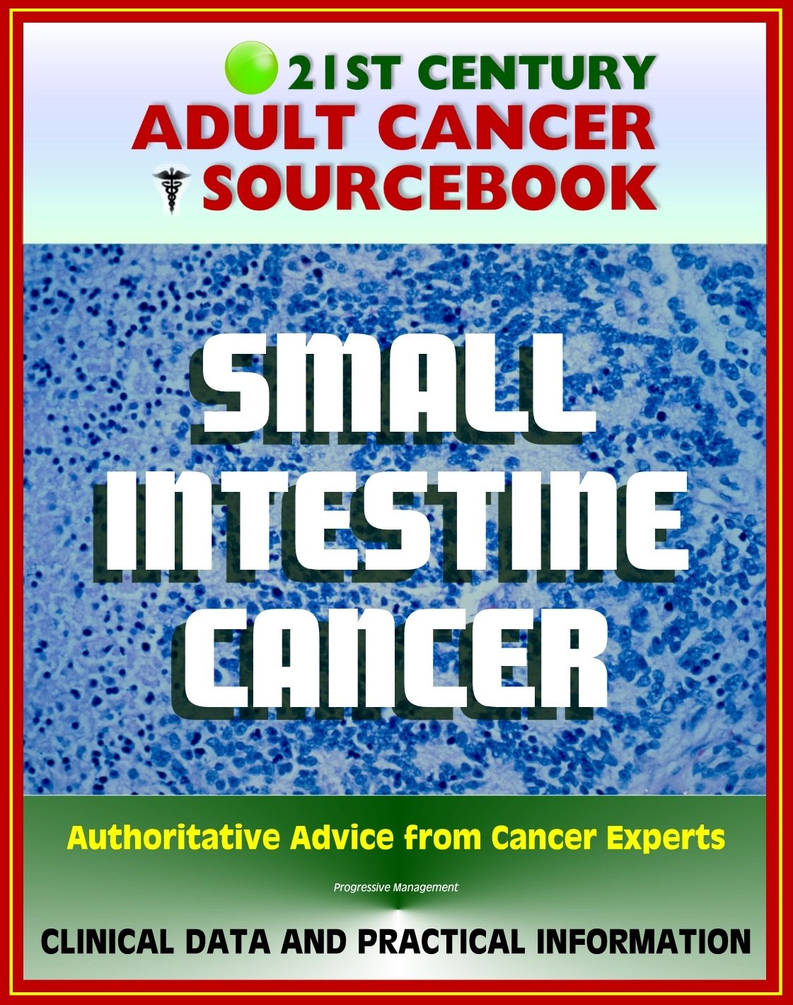 21st Century Adult Cancer Sourcebook: Small Intestine Cancer - Clinical Data for Patients, Families, and Physicians
