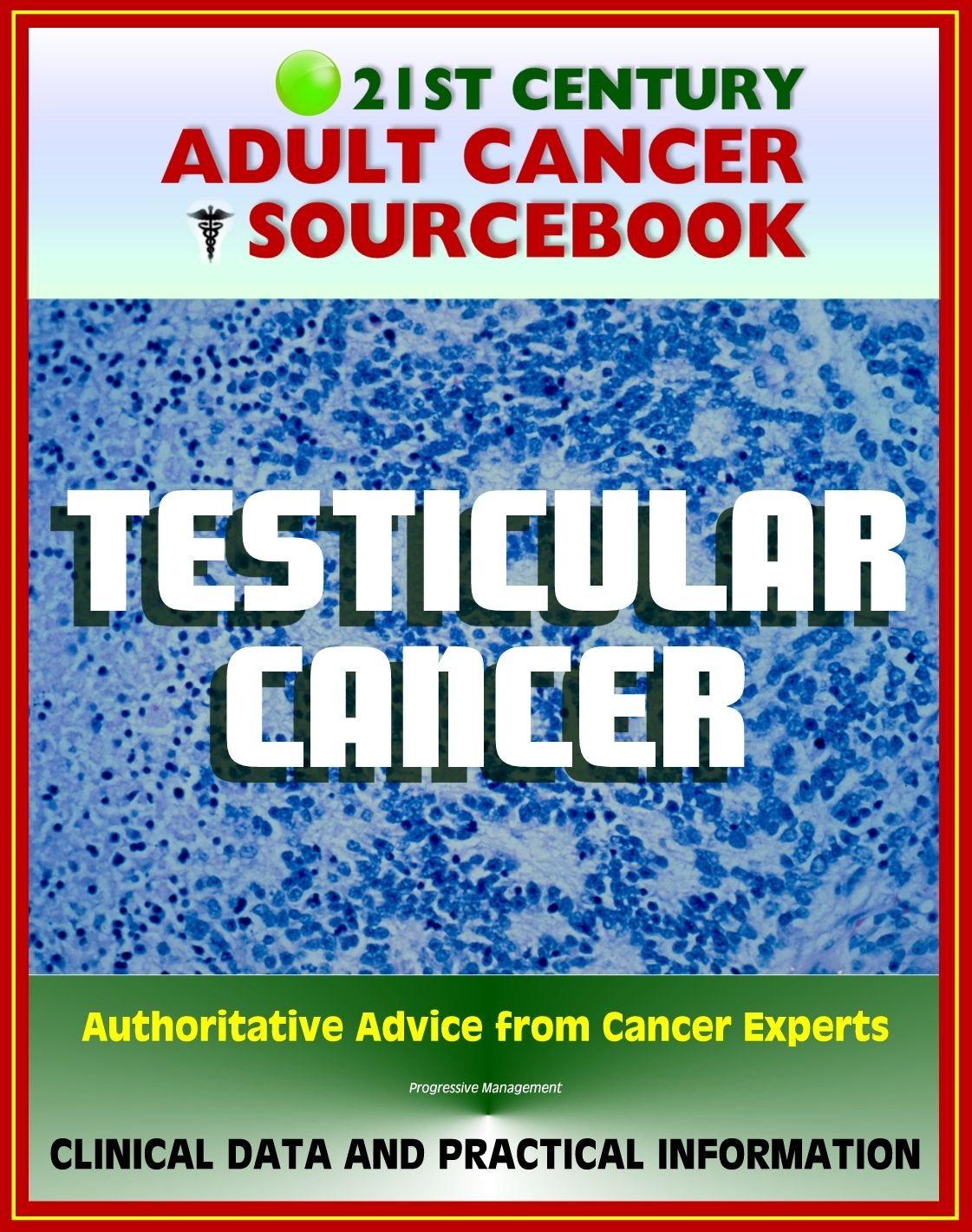 21st Century Adult Cancer Sourcebook: Testicular Cancer (Cancer of the Testicles) - Clinical Data for Patients, Families, and Physicians