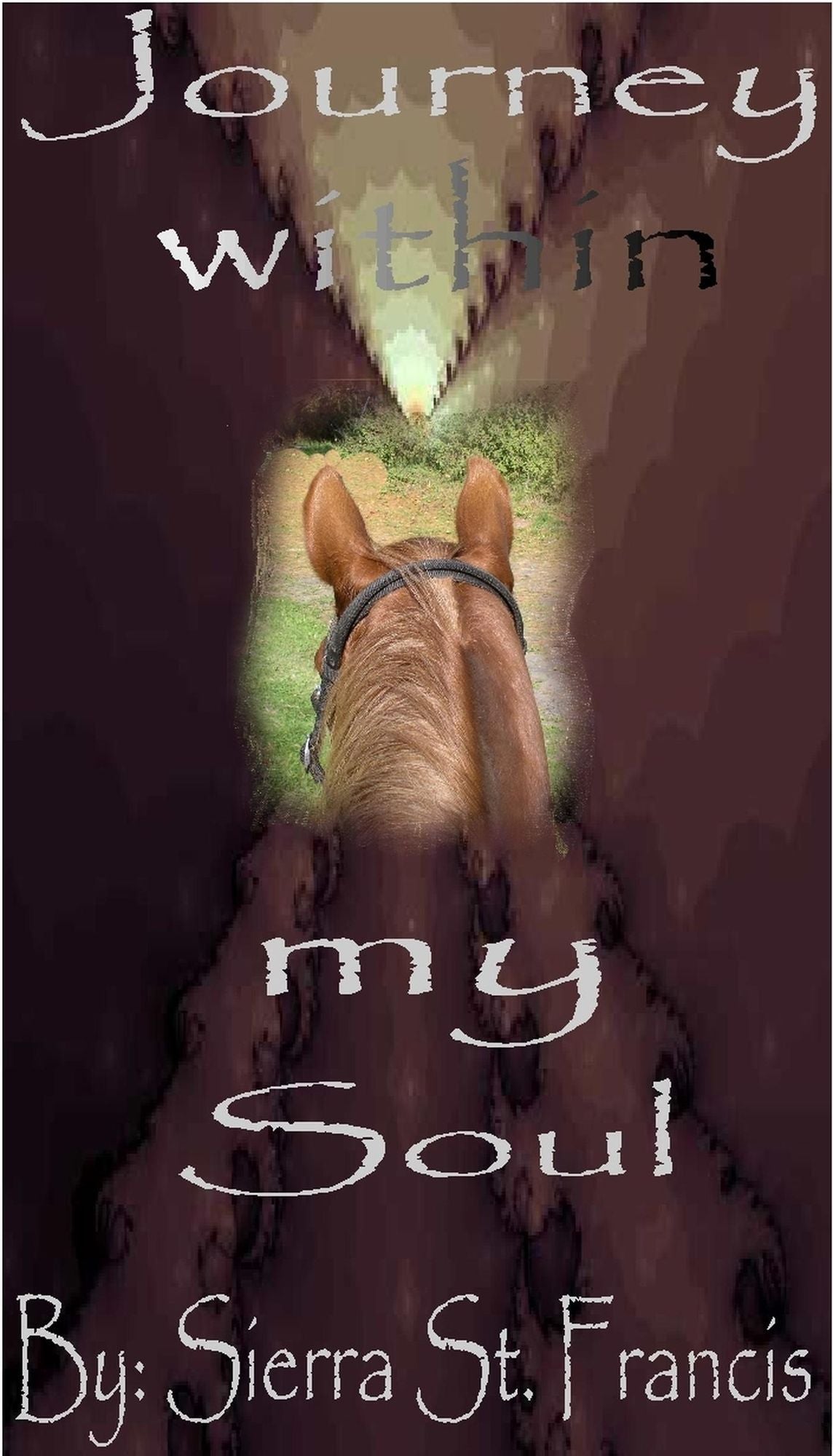 Journey within my Soul