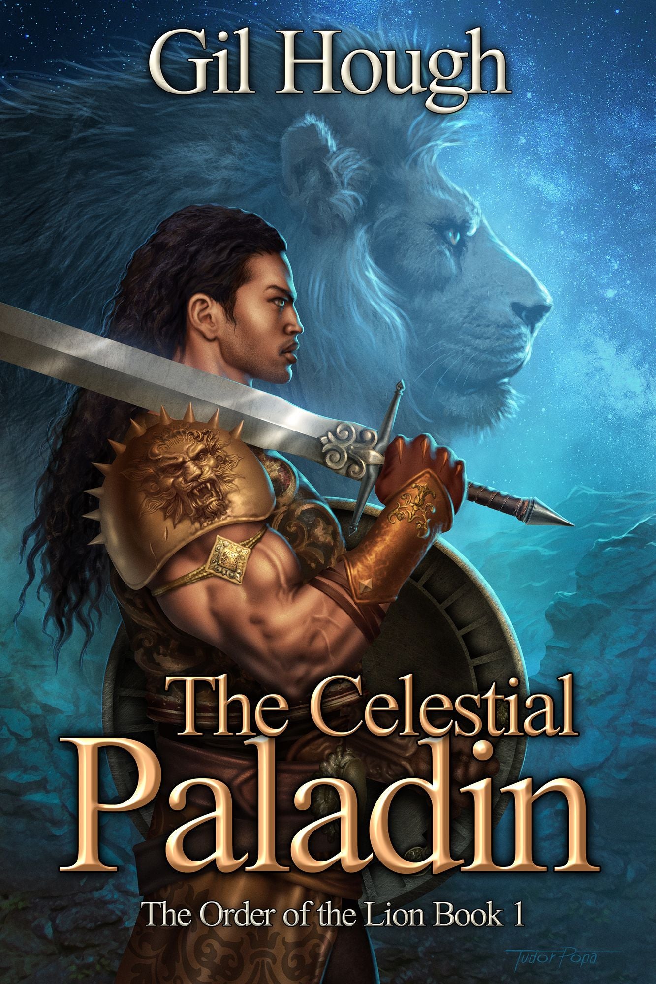 The Celestial Paladin