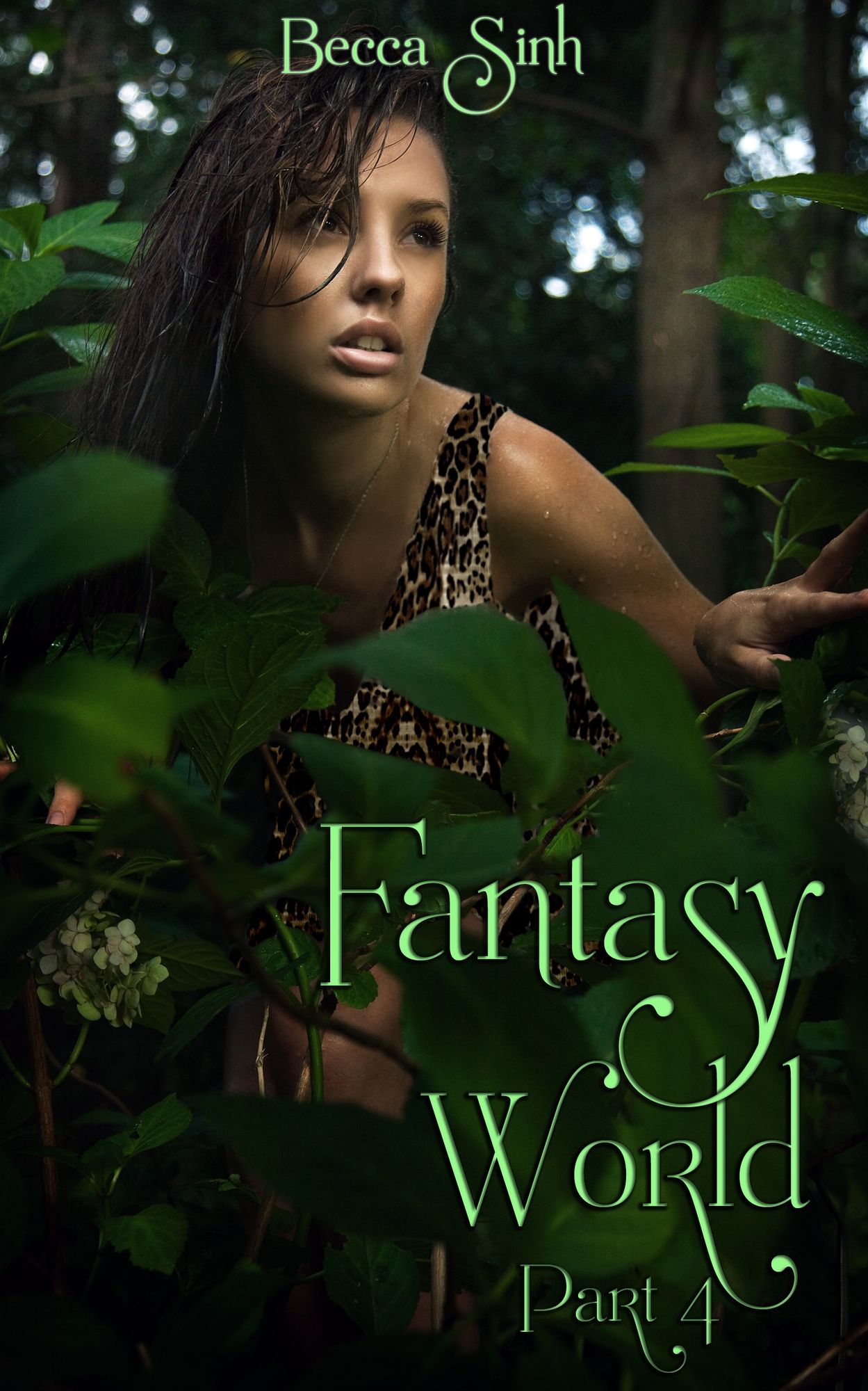Fantasy World: Part IV
