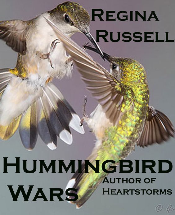 Hummingbird Wars