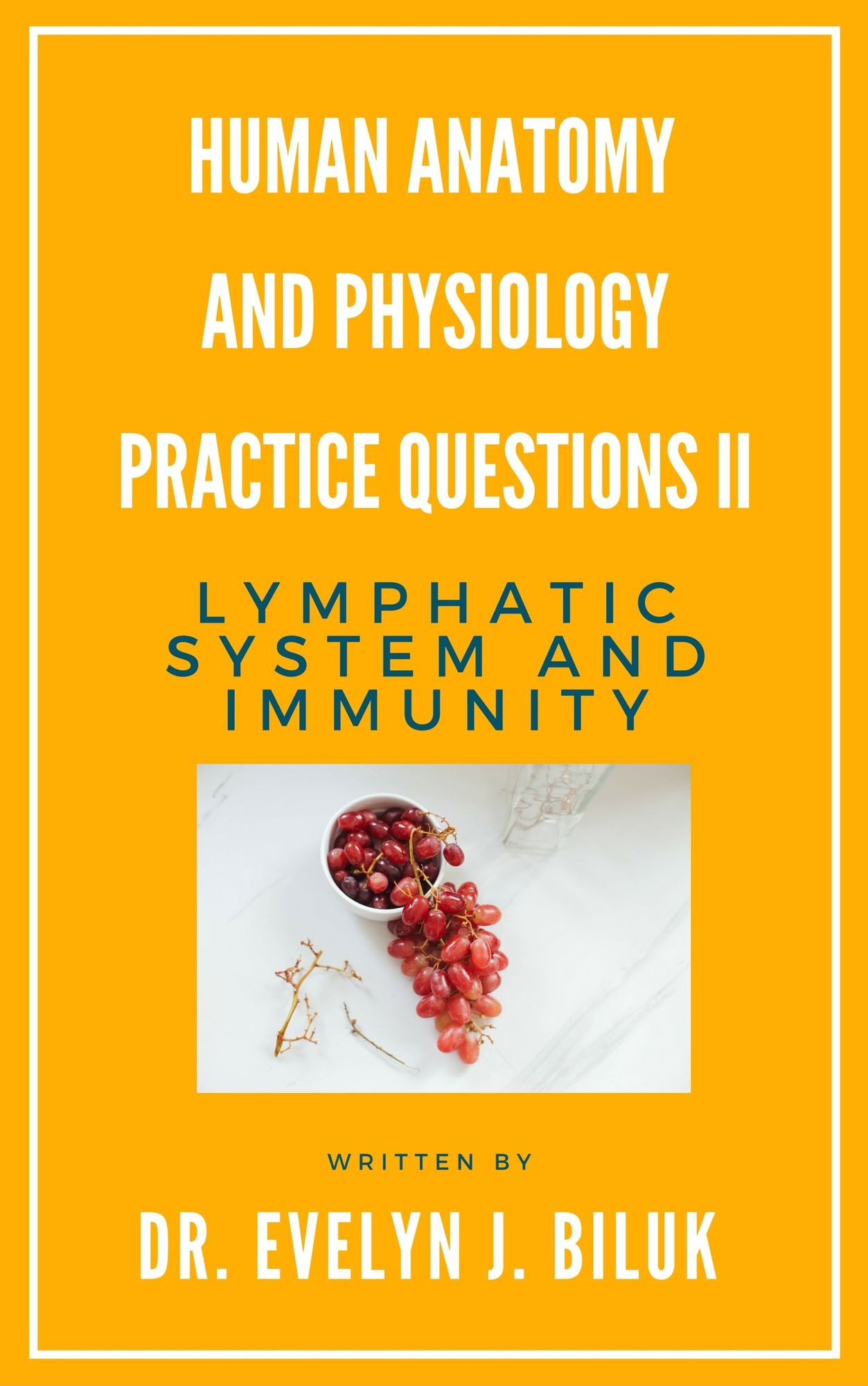 Human Anatomy and Physiology Practice Questions II: Lymphatic System and Immunity