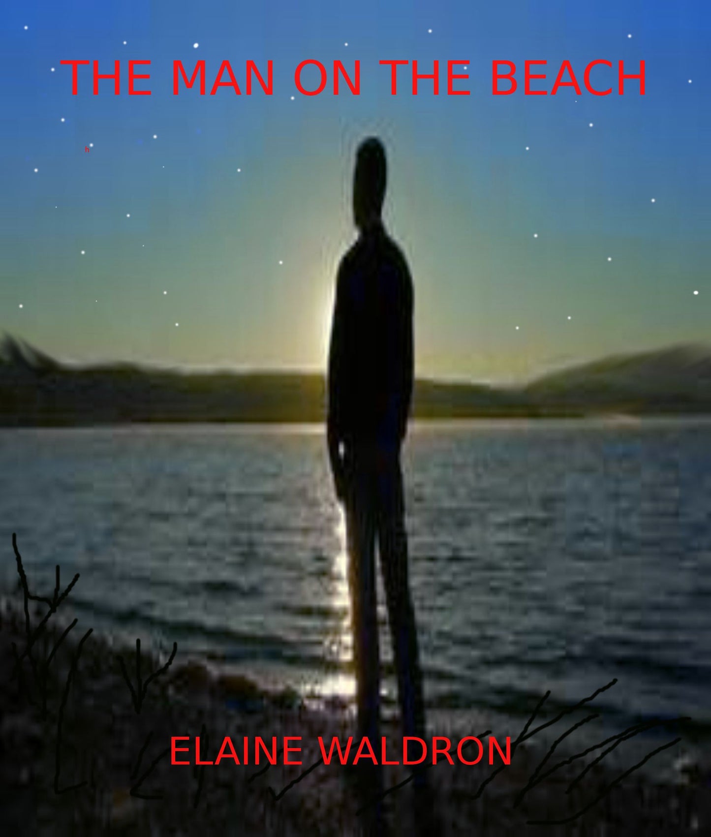 The Man on the Beach