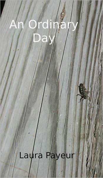 An Ordinary Day