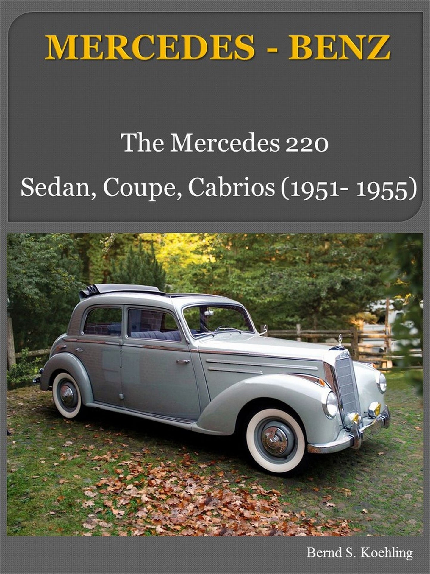 The Mercedes 220