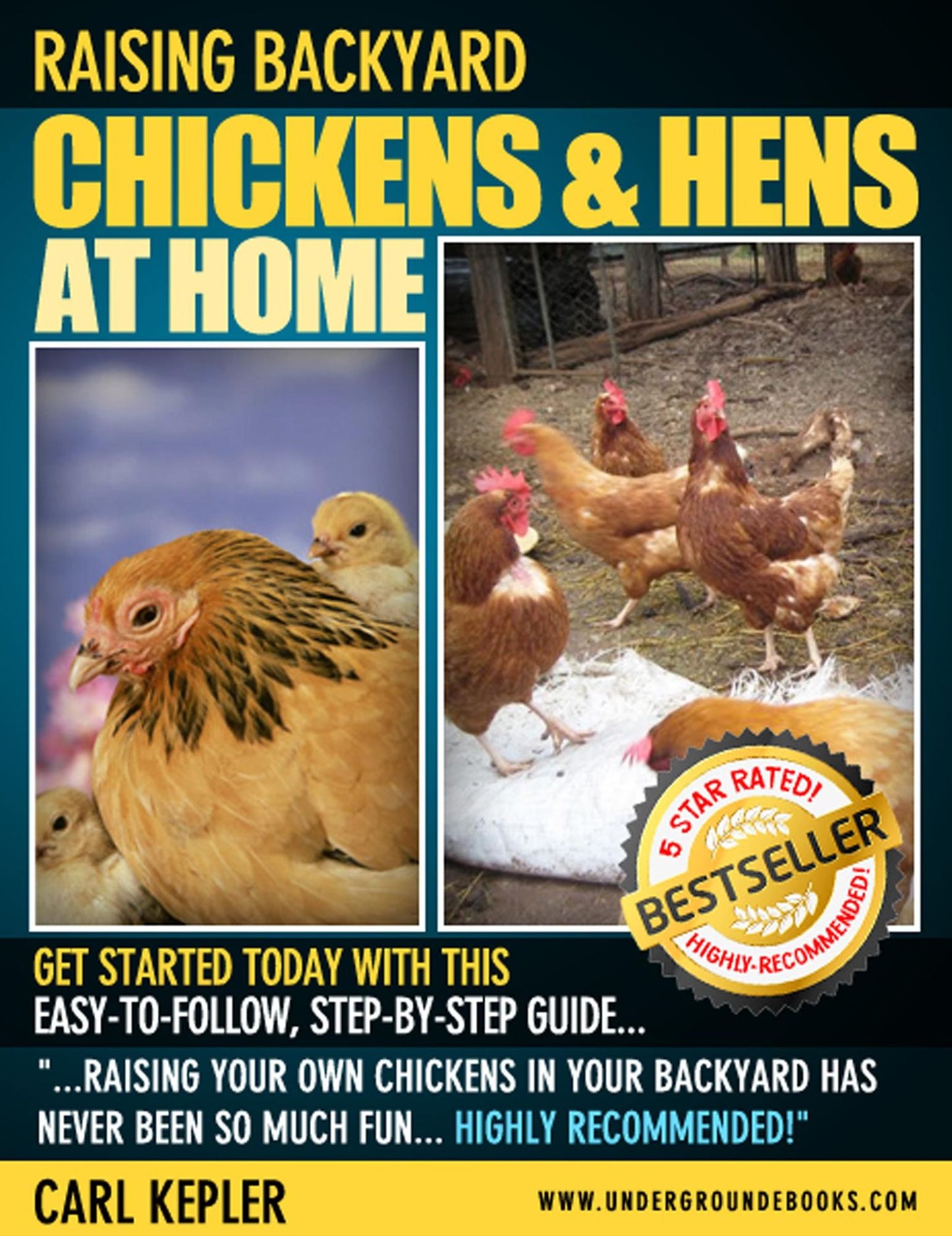 Raising Backyard Chickens & Hens at Home