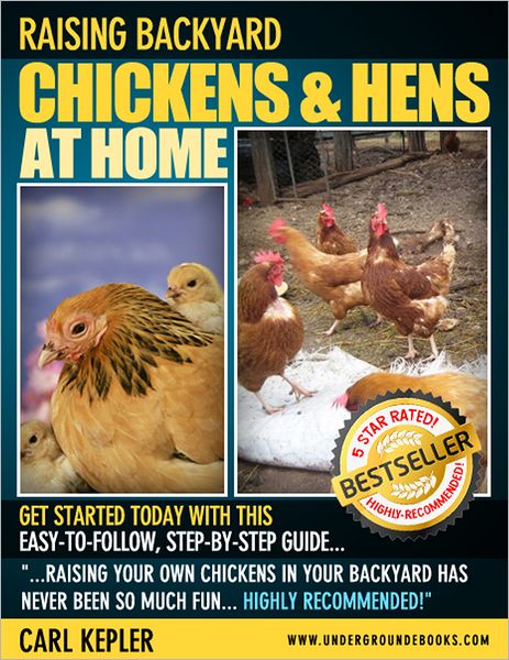 Raising Backyard Chickens & Hens at Home