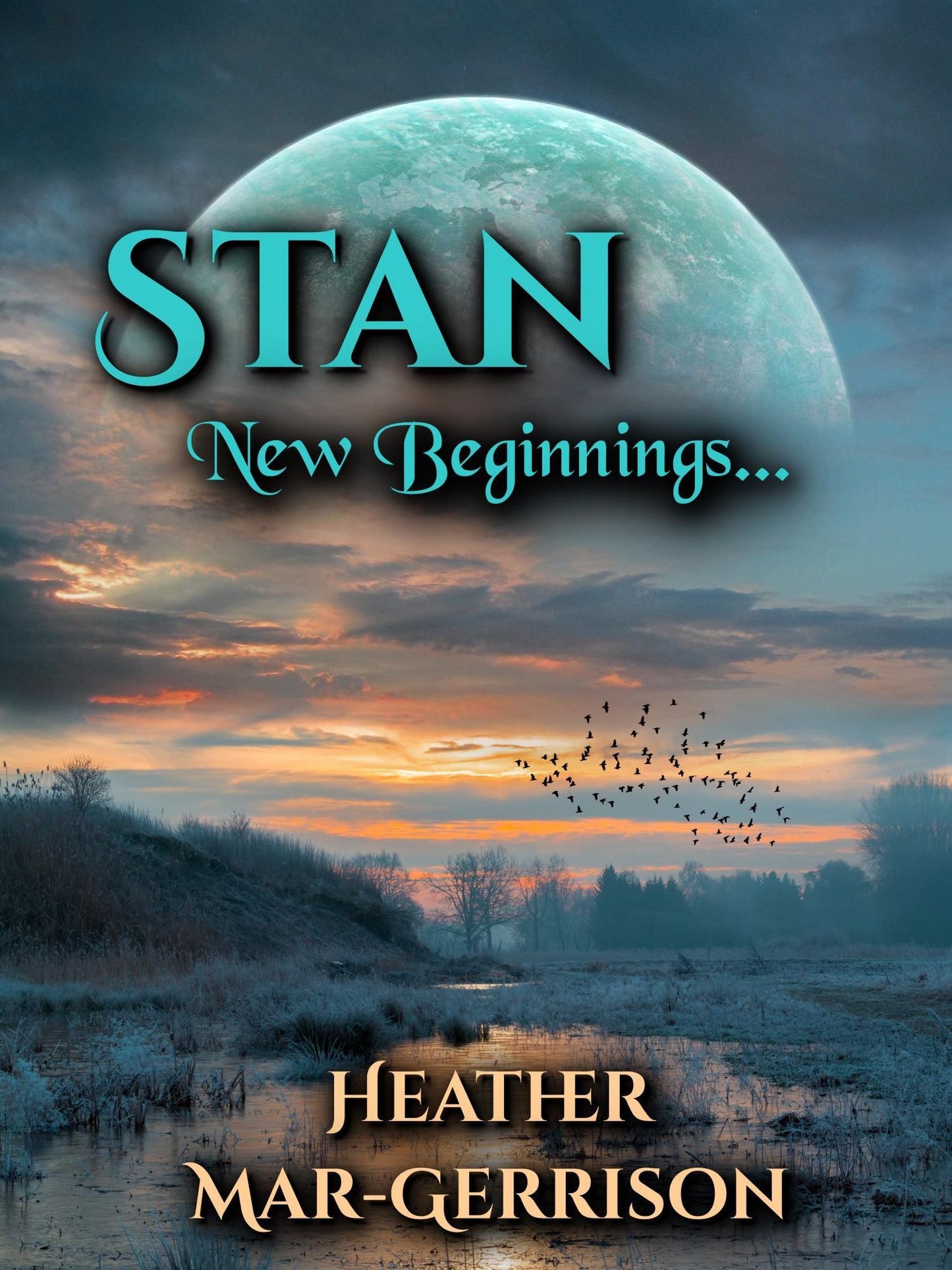 Stan, New Beginnings
