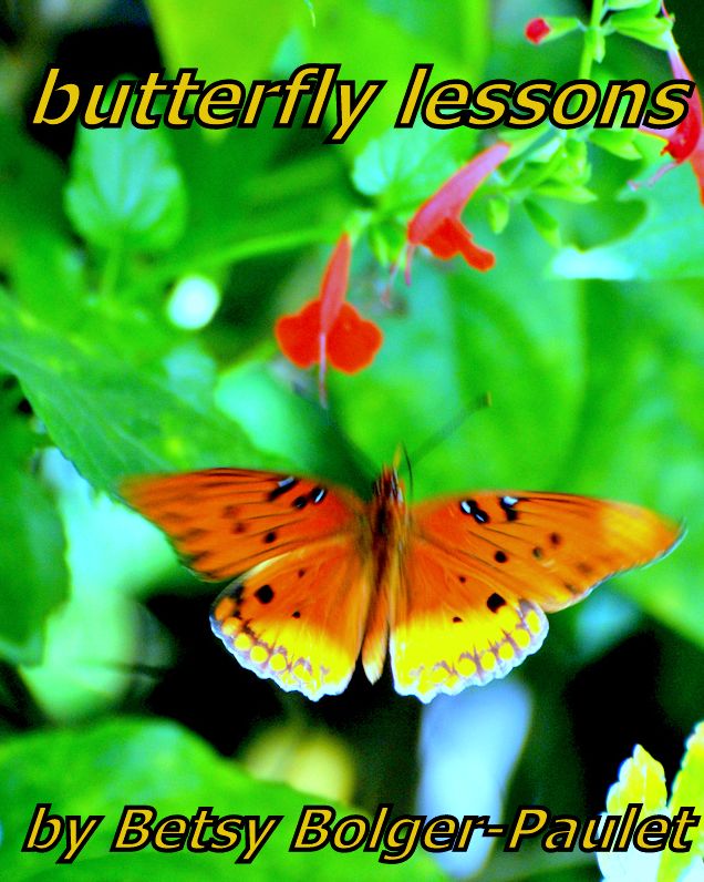 Butterfly Lessons