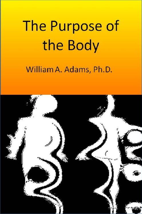 The Purpose of the Body