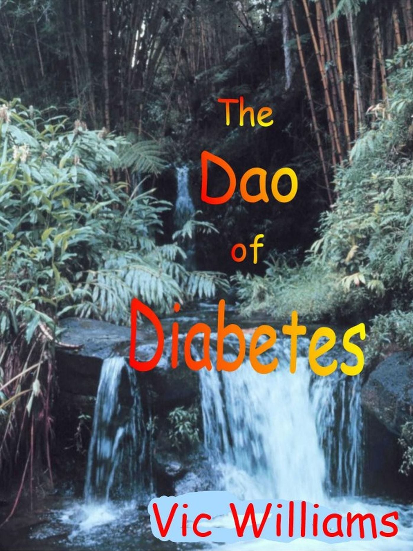 The Dao of Diabetes - eReader Version