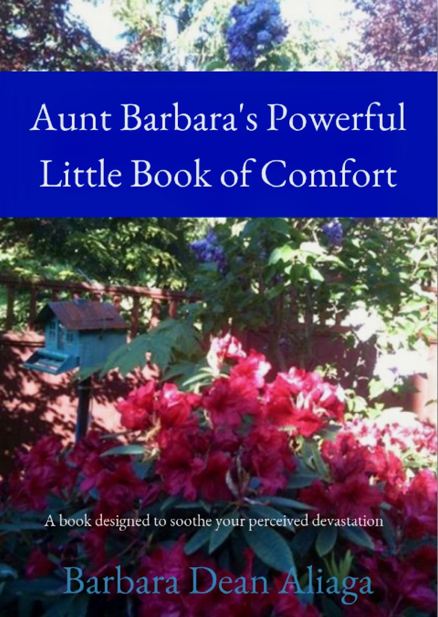 Aunt Barbara's Powerful Little Book of Comfort