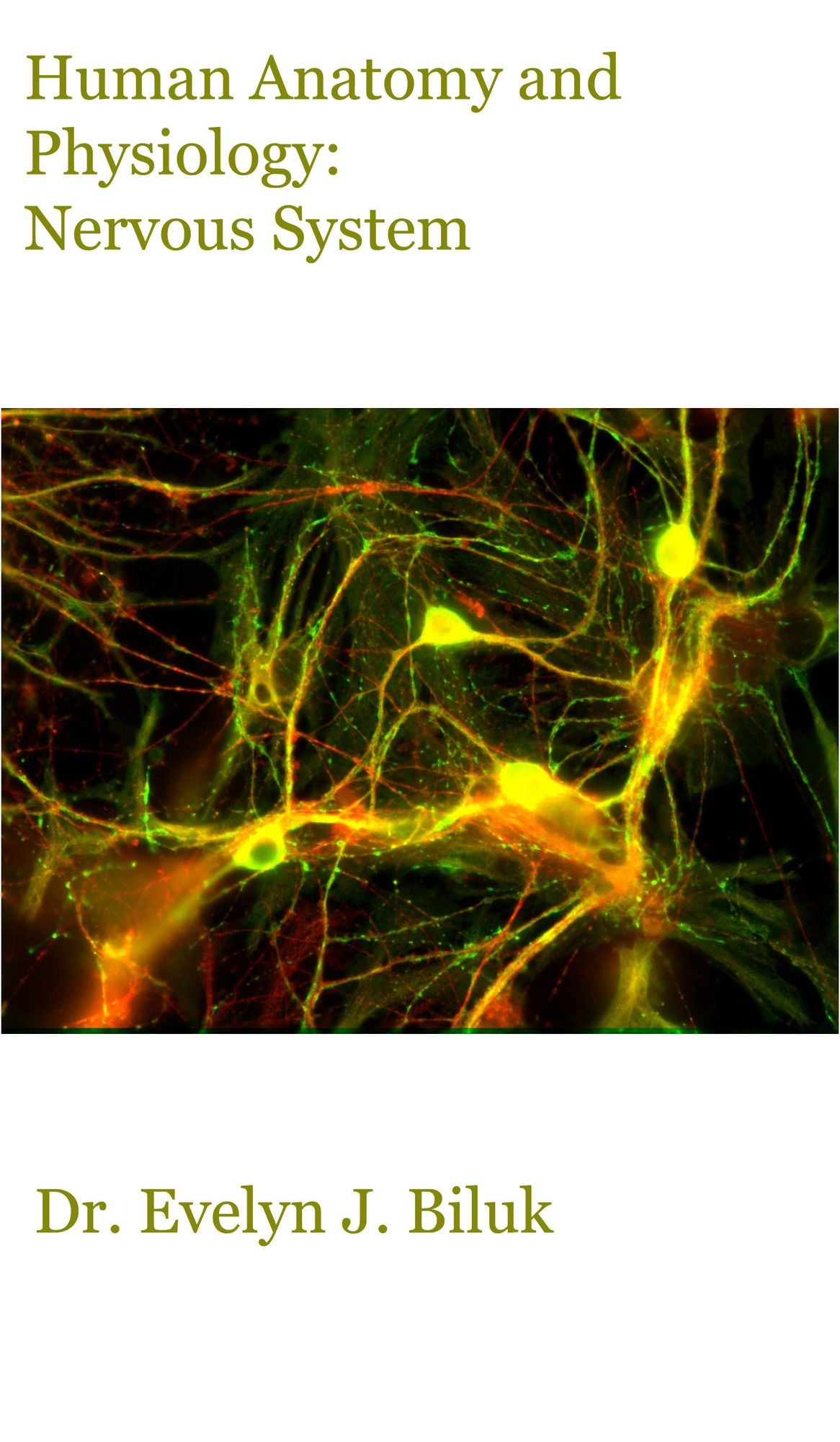 Human Anatomy and Physiology: Nervous System