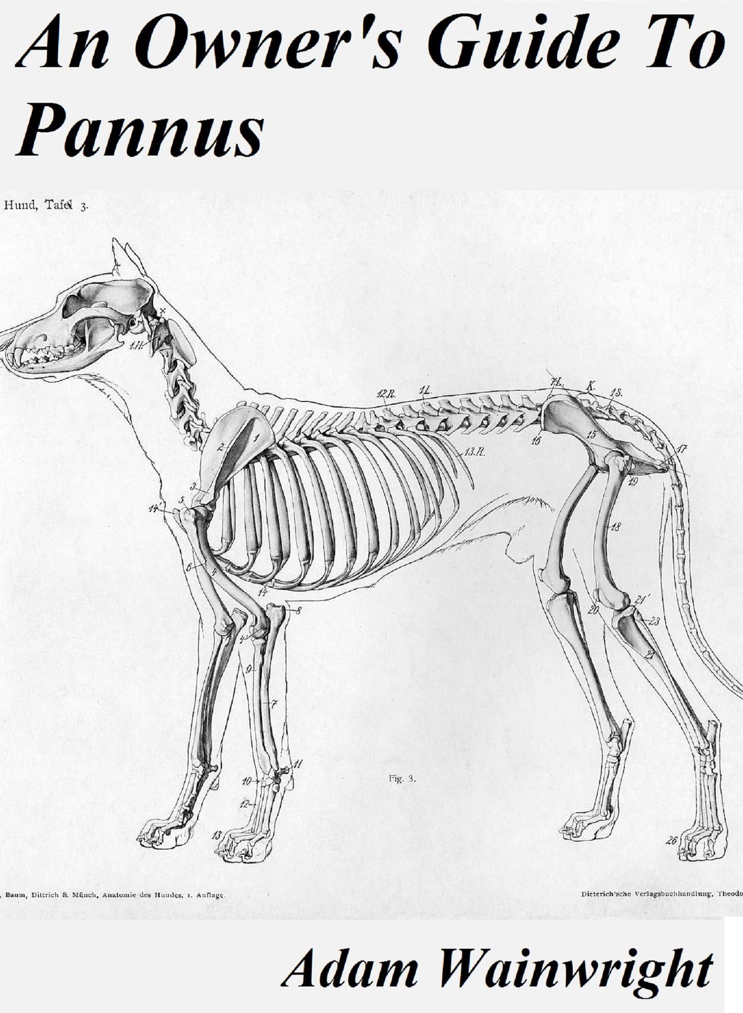 An Owner's Guide to Pannus