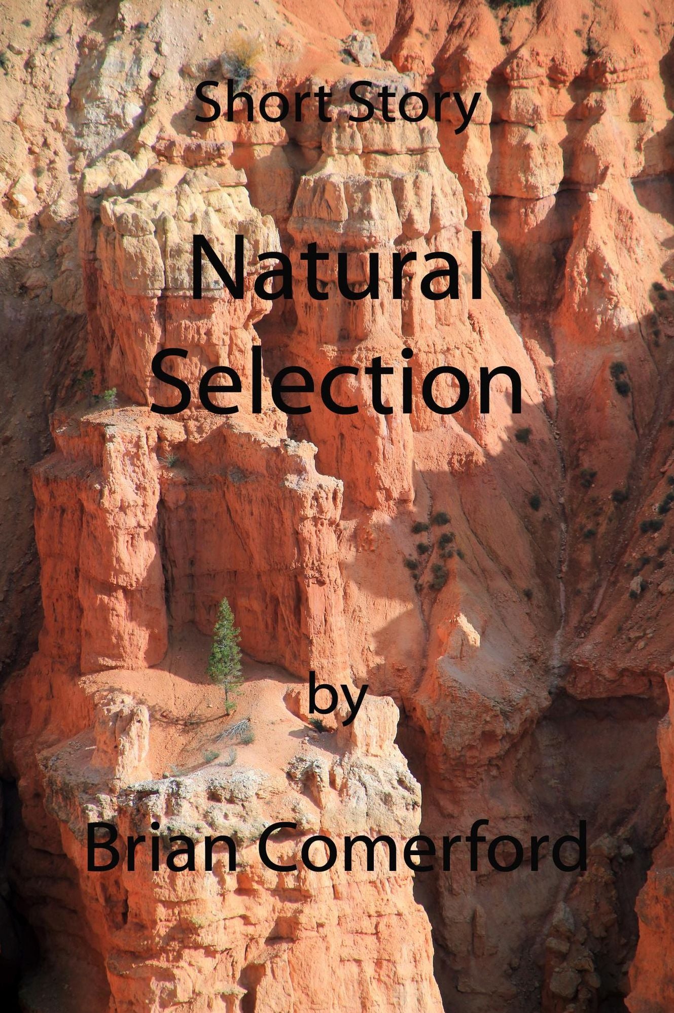 Short Story: Natural Selection
