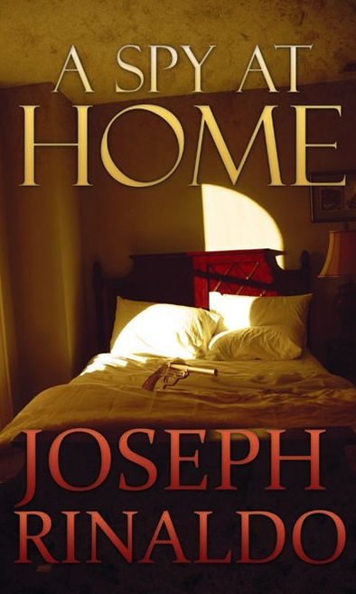 A Spy At Home