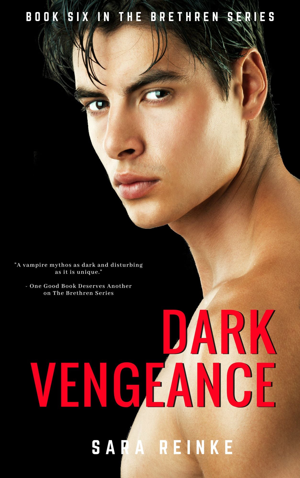 DARK VENGEANCE, Part One