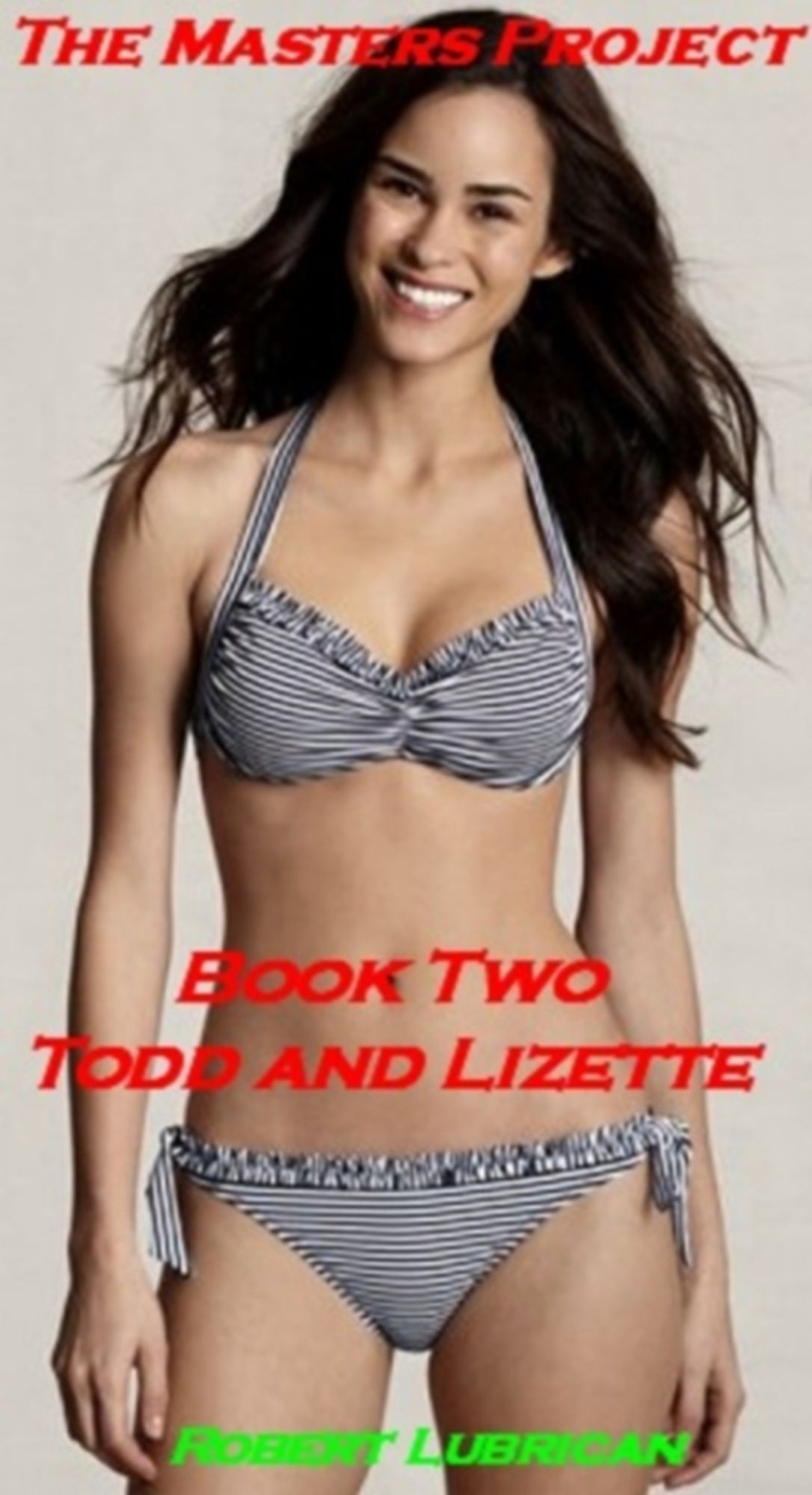 The Masters Project - Book Two (Todd and Lizette)