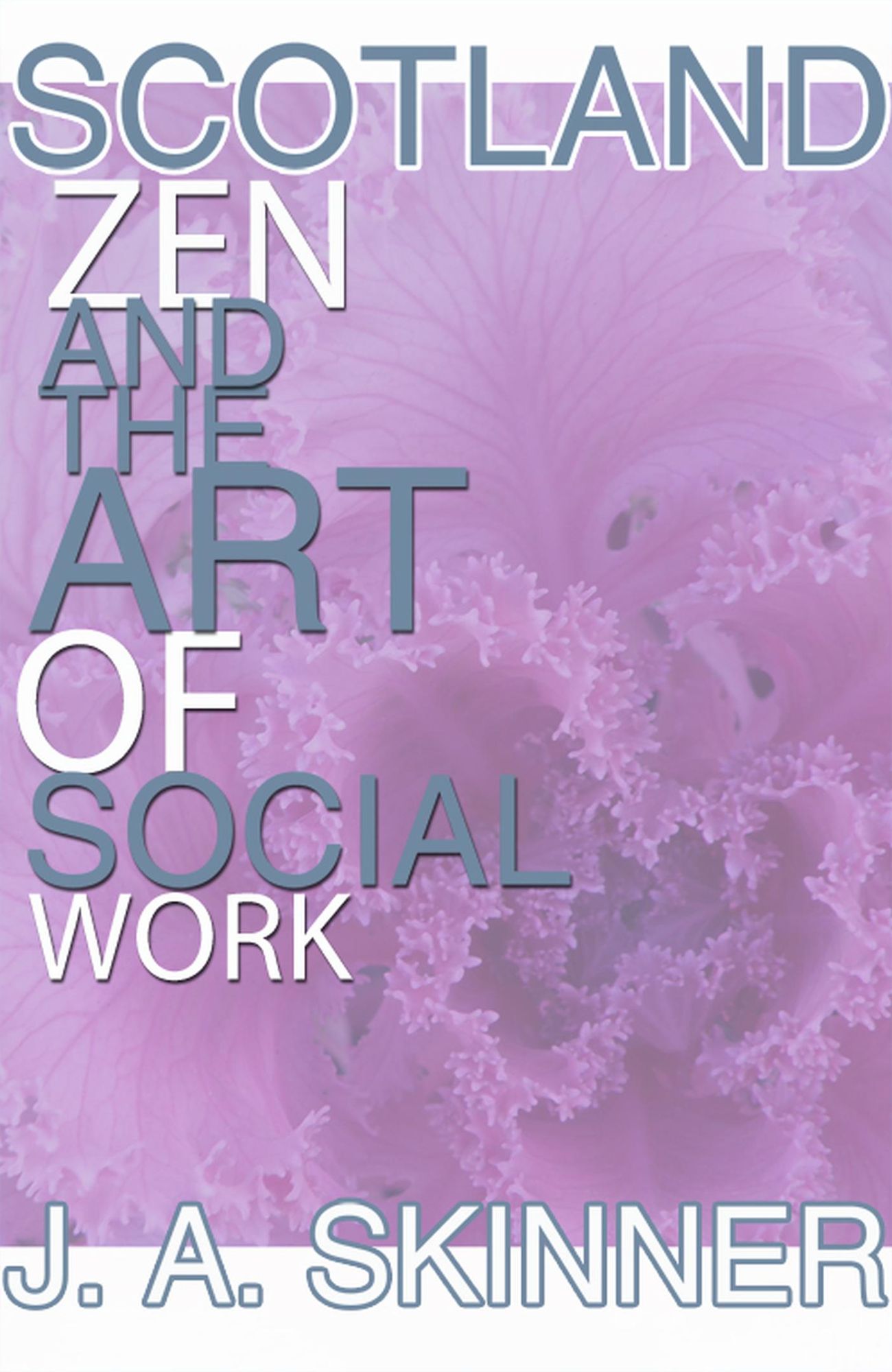 SCOTLAND ZEN and the art of SOCIAL WORK