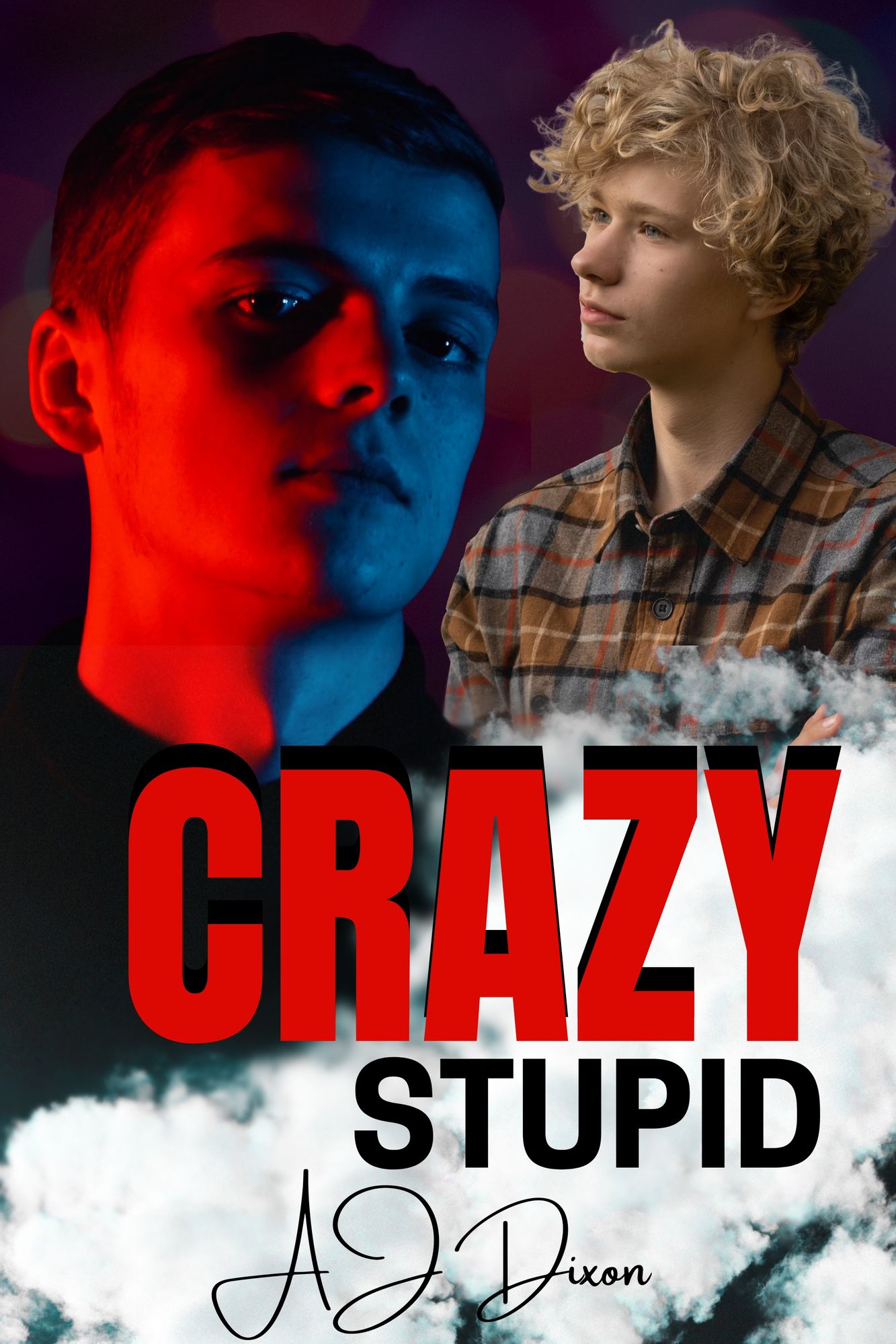 Crazy Stupid