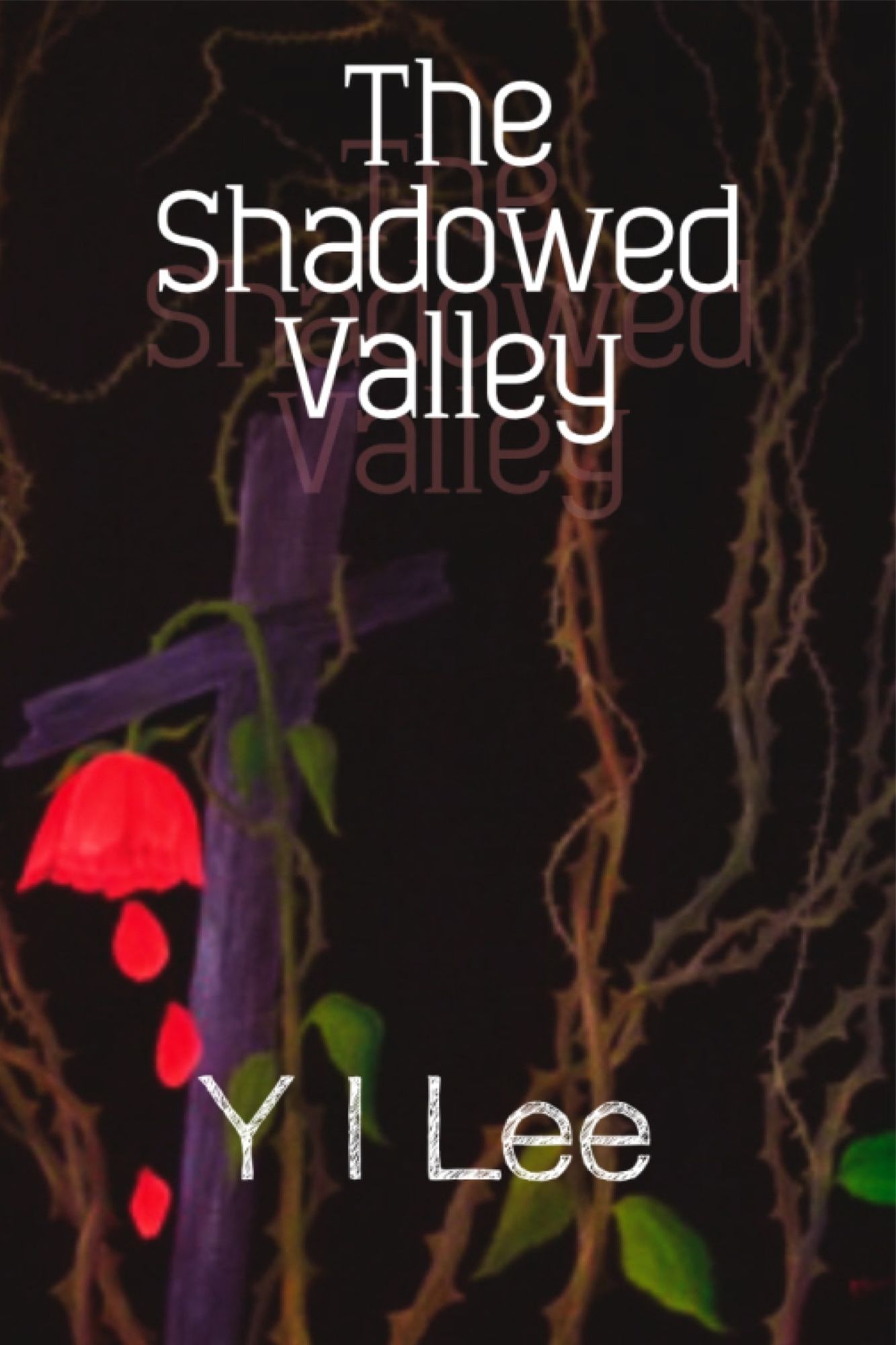 The Shadowed Valley