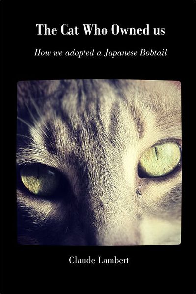 The Cat Who Owned Us