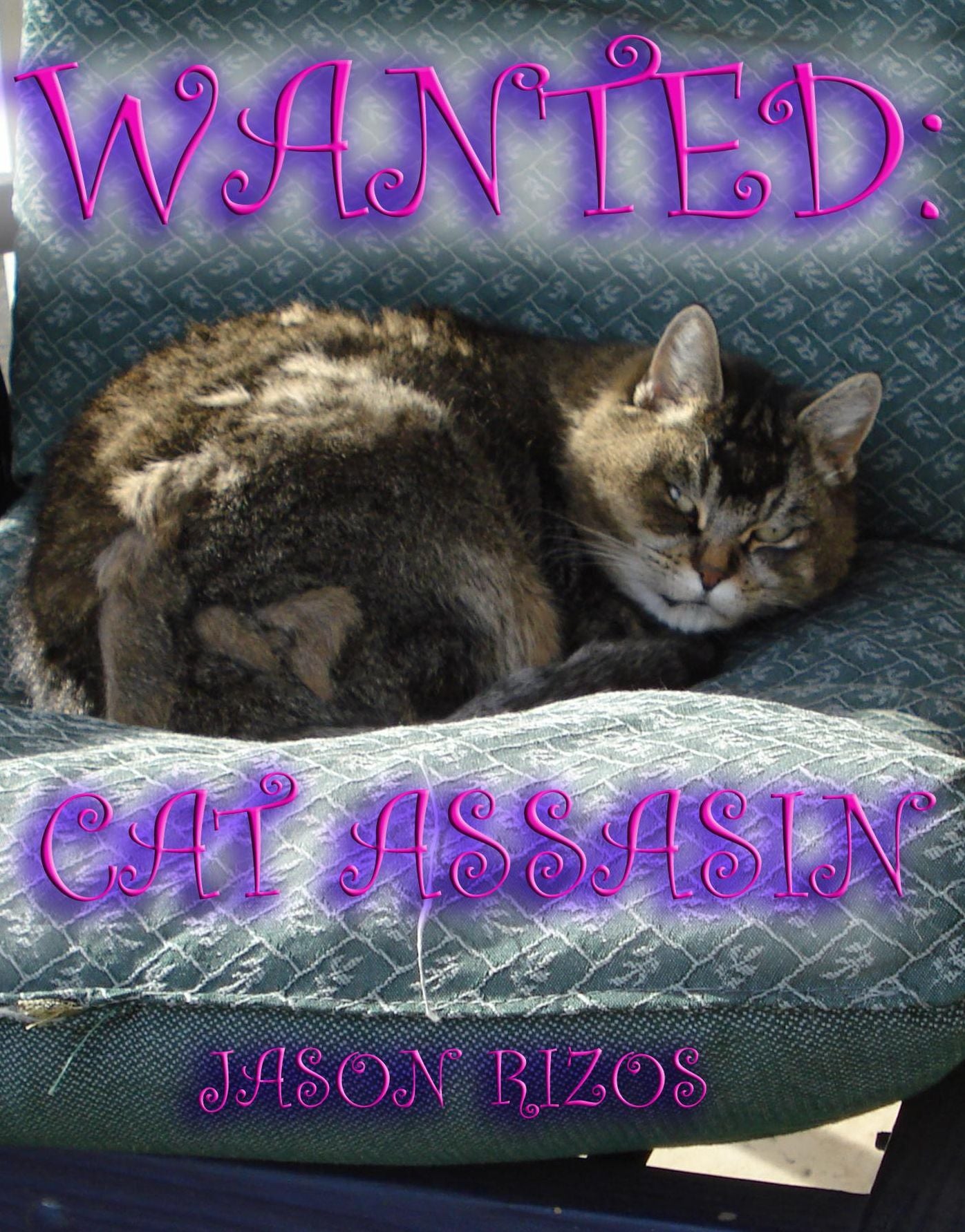 Wanted: Cat Assassin