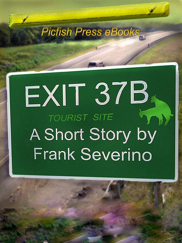 Exit 37B