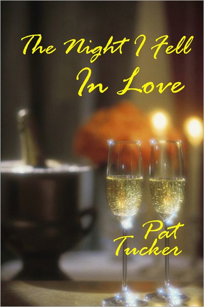 The Night I Fell In Love