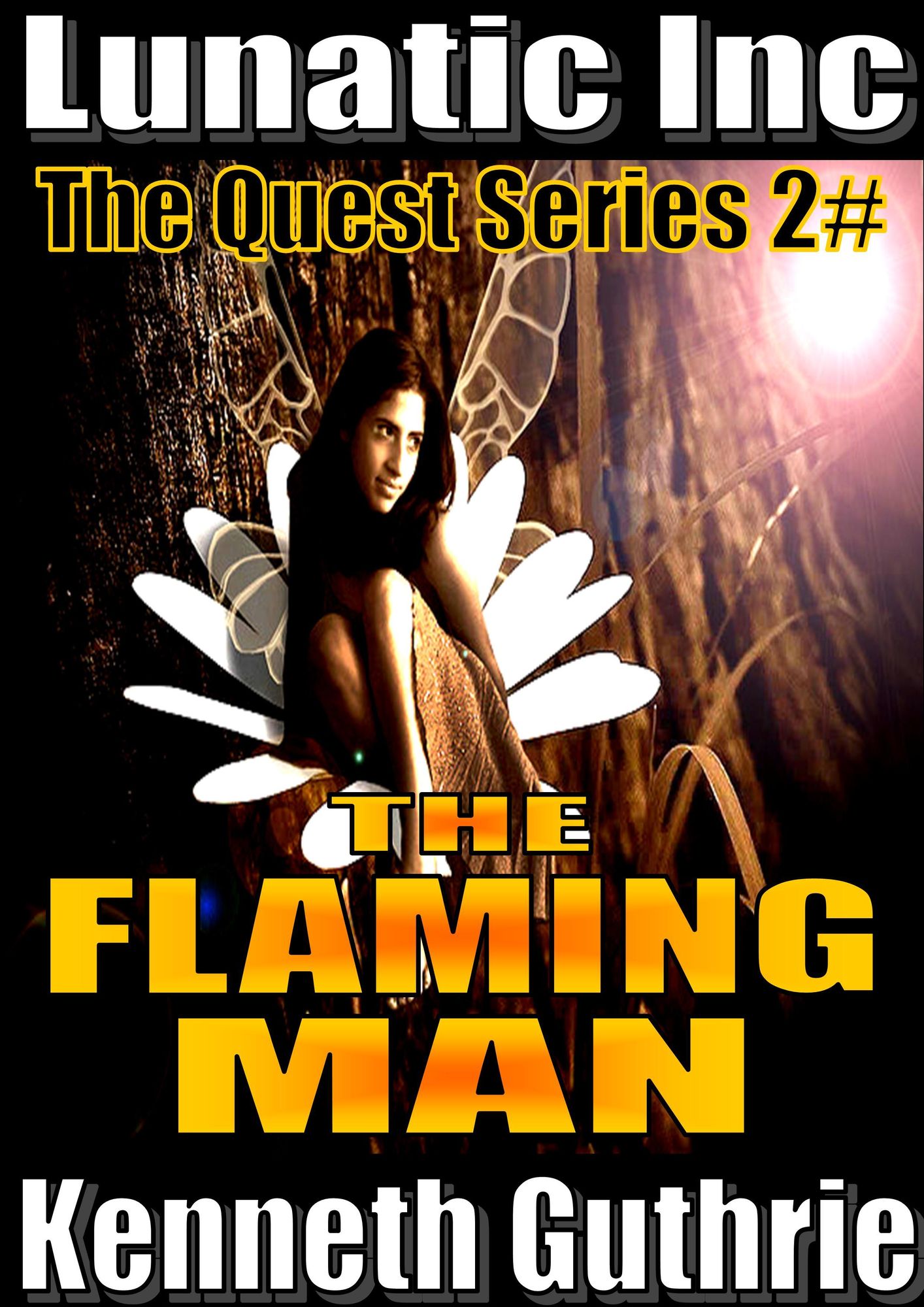 The Flaming Man (Quest Fantasy Series #2)