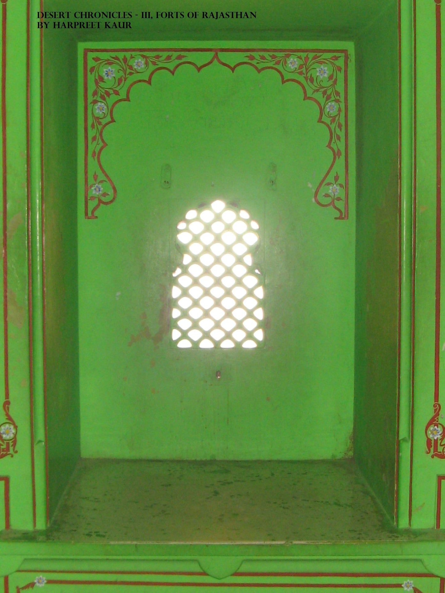 Desert Chronicles: III, Forts of Rajasthan