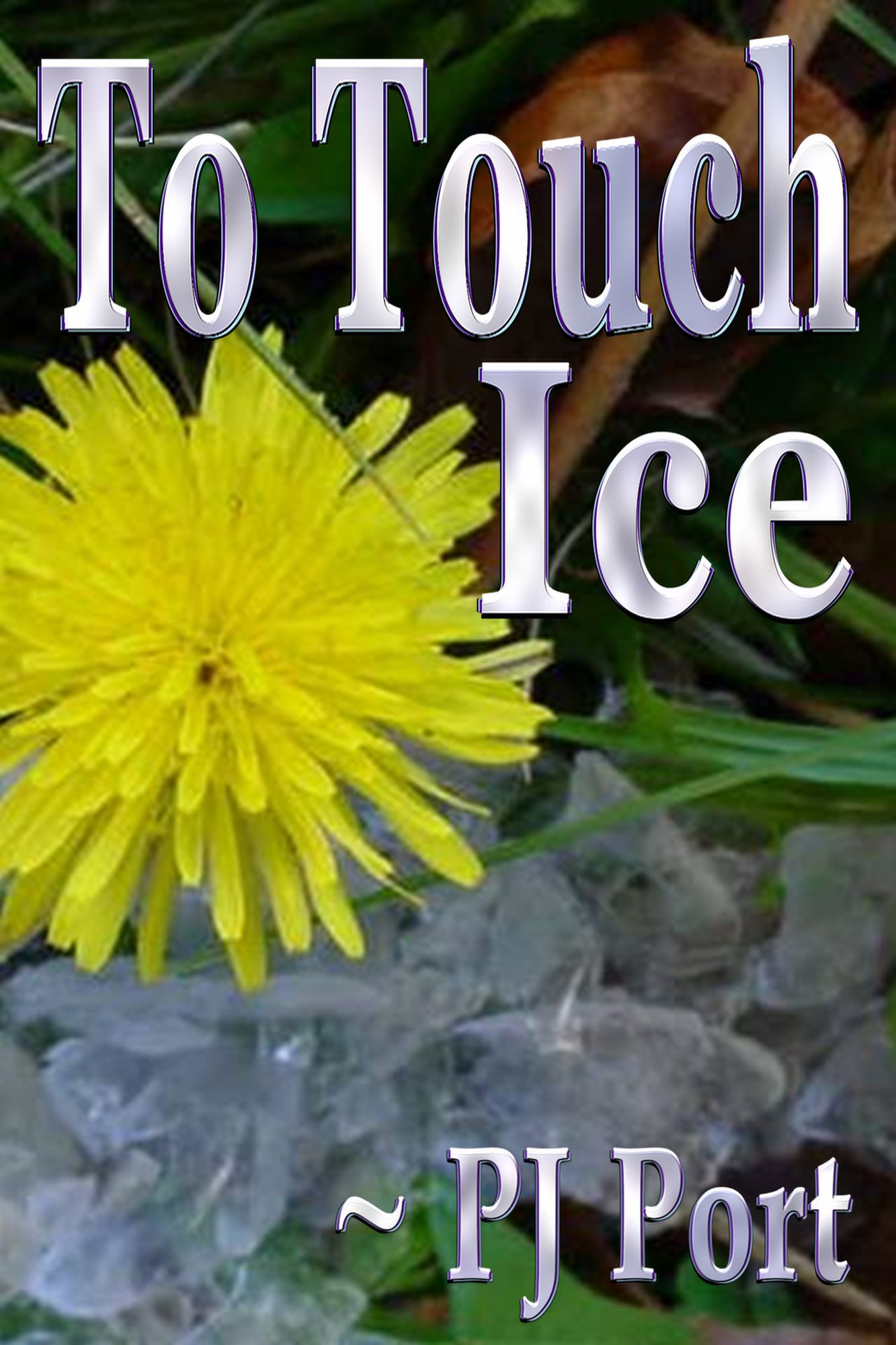 To Touch Ice
