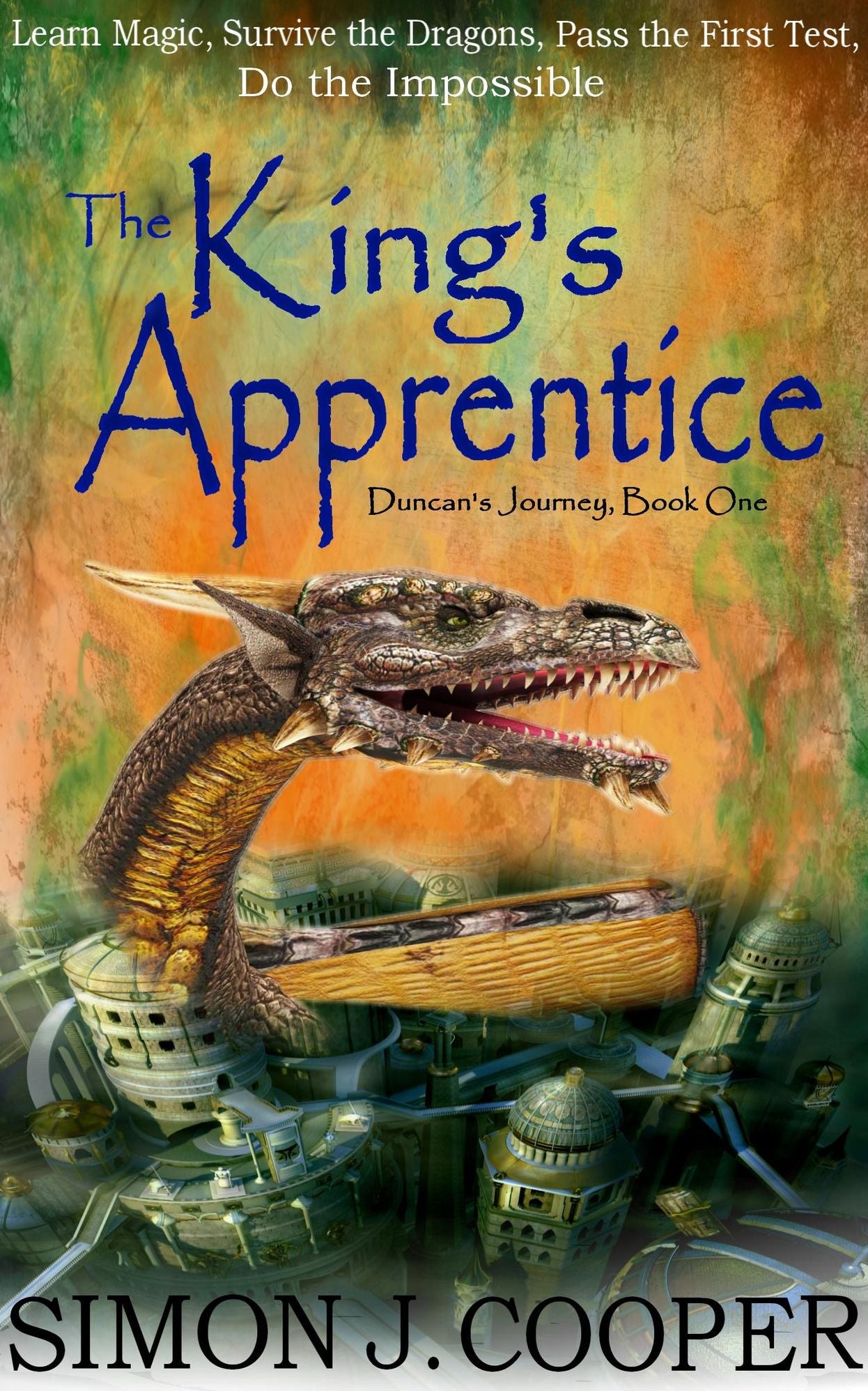 The King's Apprentice