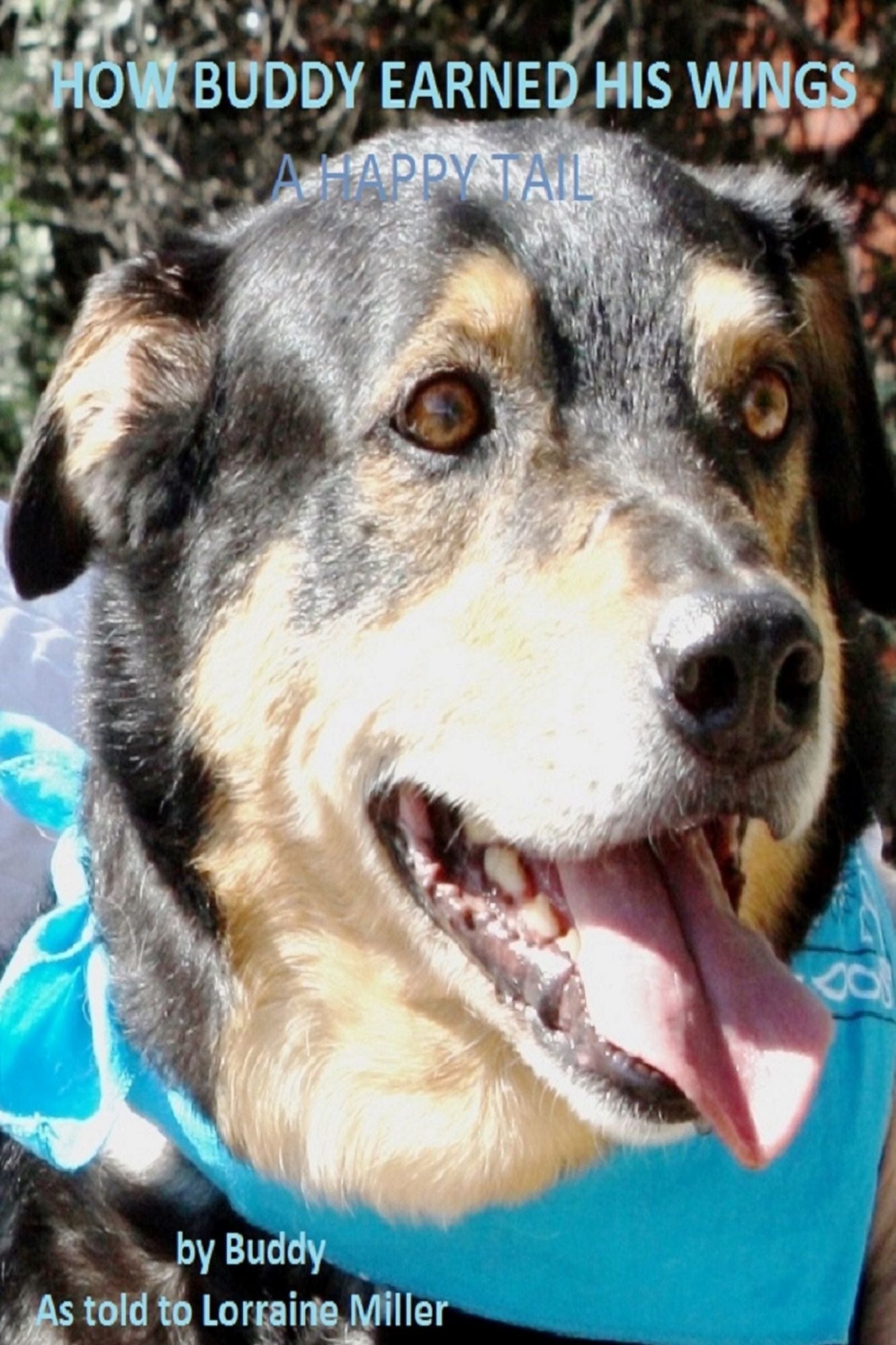 How Buddy Earned His Wings: A Happy Tail