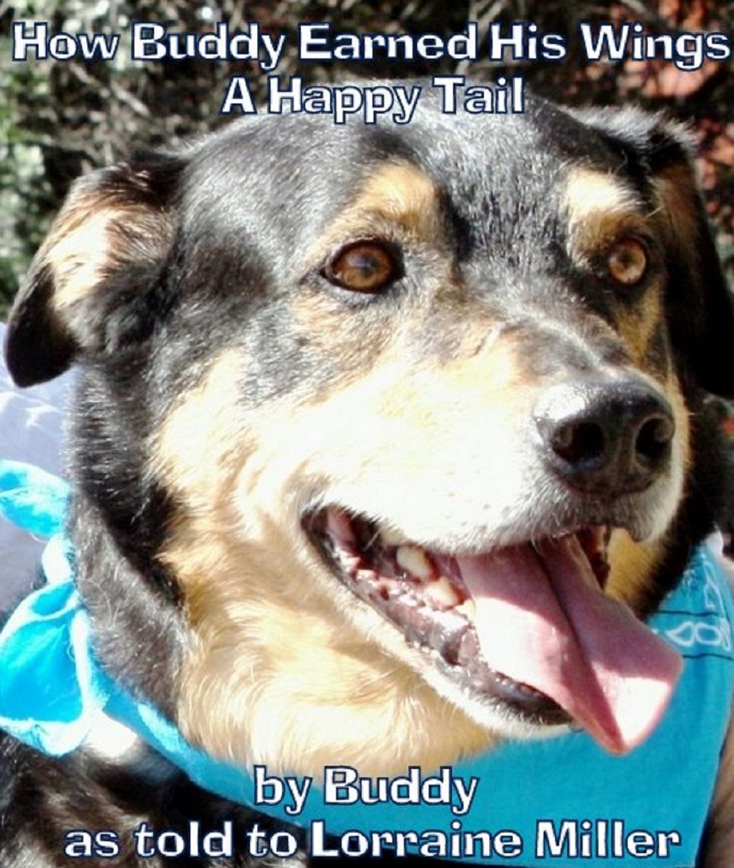 How Buddy Earned His Wings: A Happy Tail
